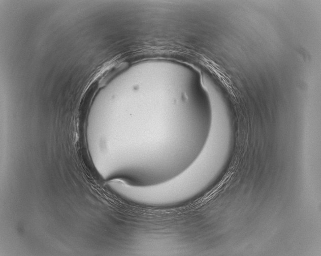 X0000115531165200912040943