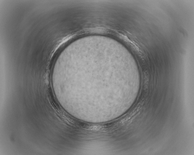 X0000115531166200912040943