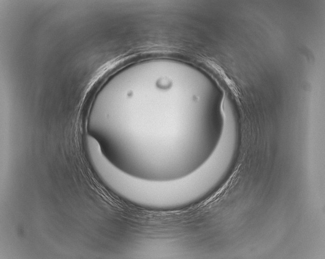 X0000115531167200912040943