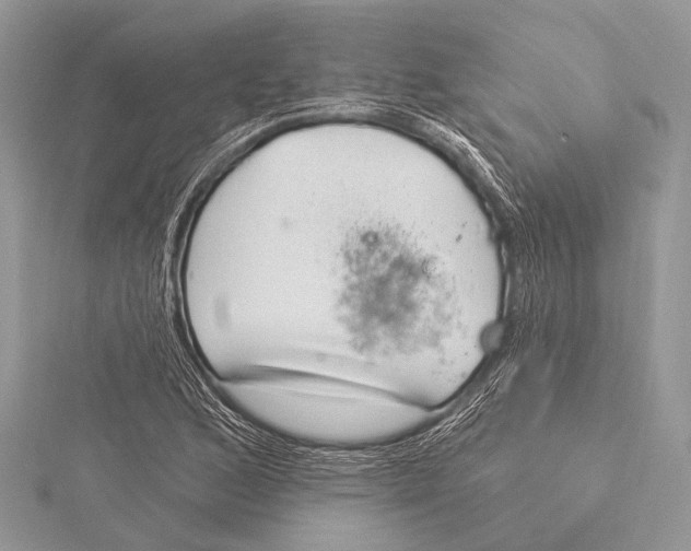 X0000115531168200912040943