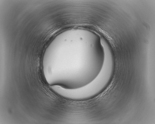 X0000115531169200912040943