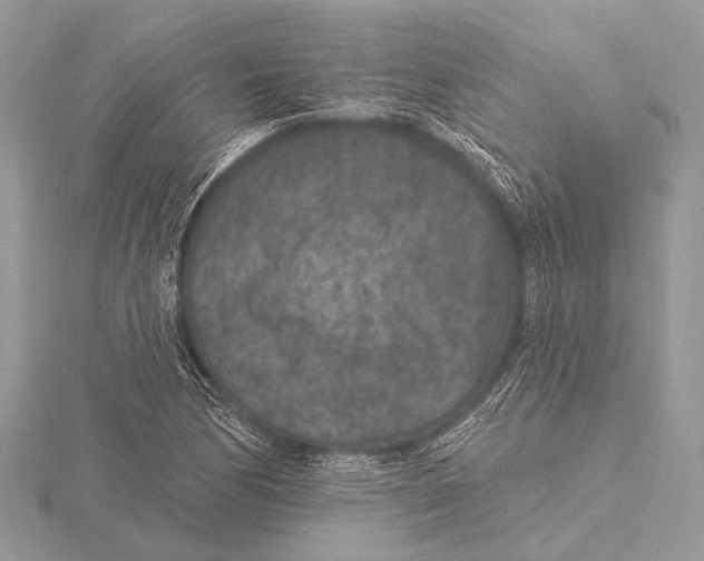 X0000115531170200912040943