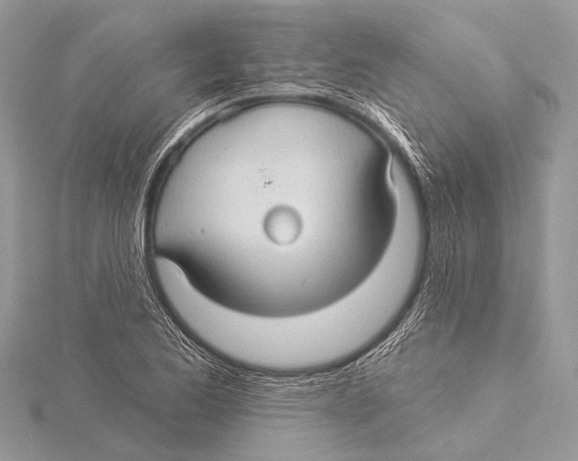 X0000115531173200912040943