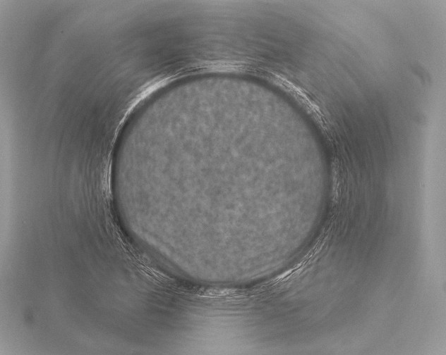 X0000115531174200912040943