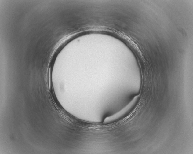 X0000115531175200912040943