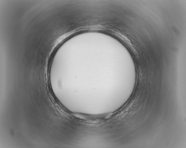 X0000115531176200912040943