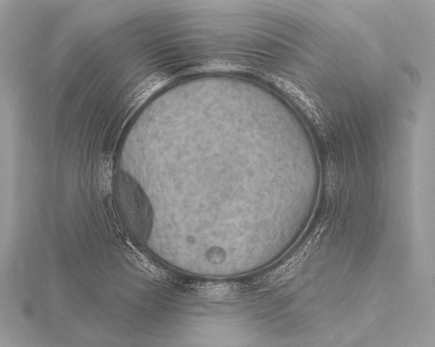 X0000115531177200912040943