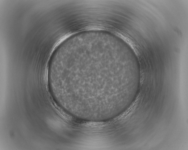 X0000115531179200912040943