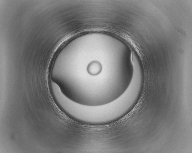 X0000115531181200912040943