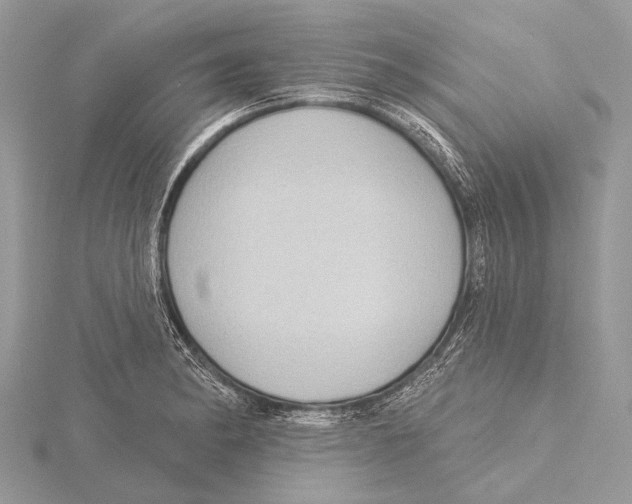 X0000115531182200912040943