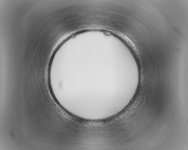 X0000115531183200912040943