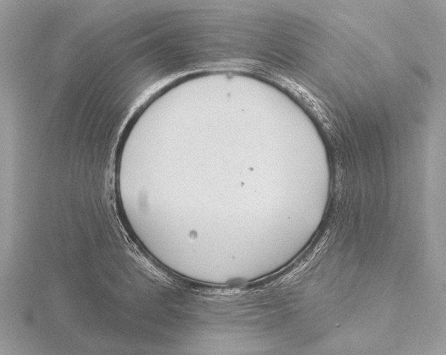 X0000115531184200912040943