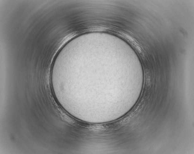 X0000115531186200912040943