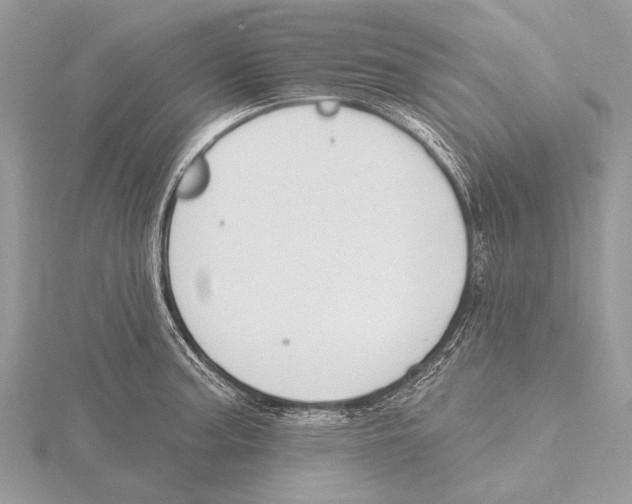 X0000115531187200912040943