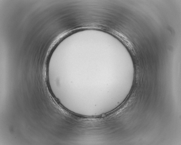 X0000115531188200912040943