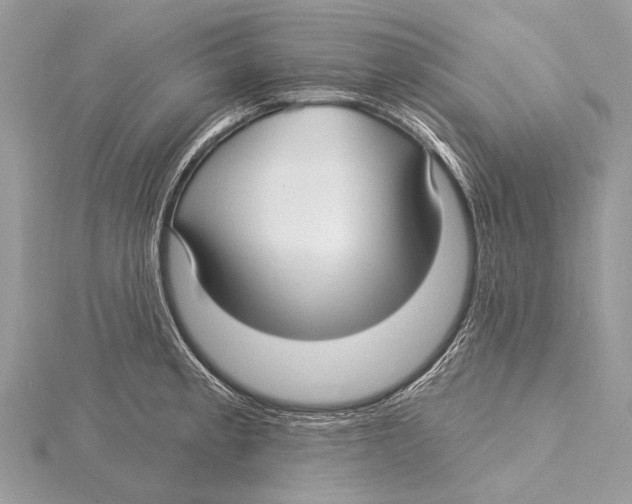 X0000115531189200912040943