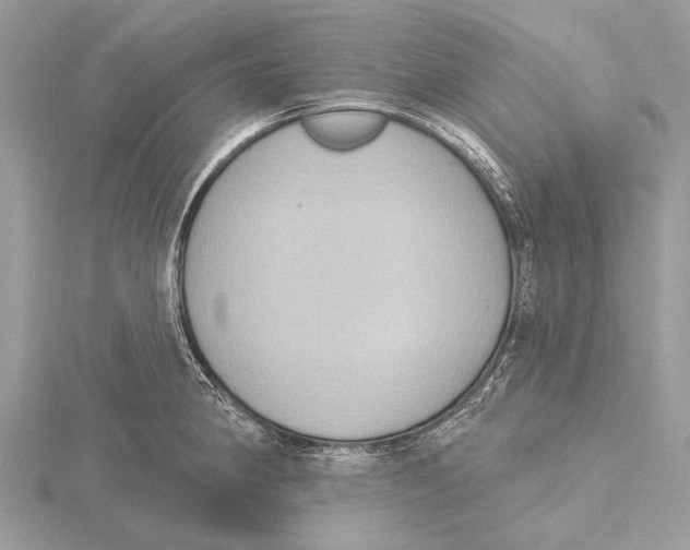 X0000115531190200912040943