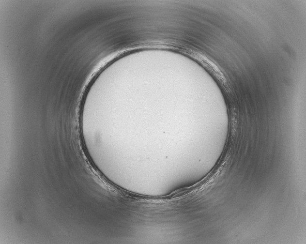 X0000115531192200912040943