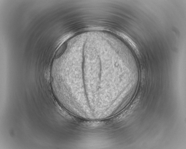 X0000115531193200912040943