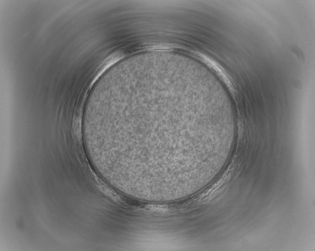 X0000115531194200912040943