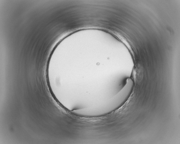 X0000115531197200912040943