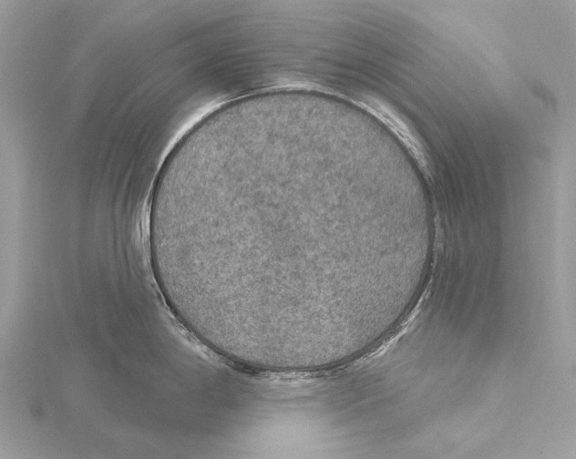 X0000115531198200912040943