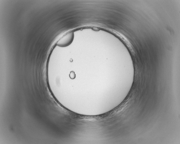 X0000115531199200912040943