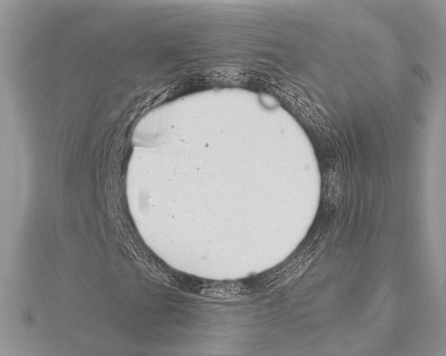 X0000115531201200912040942