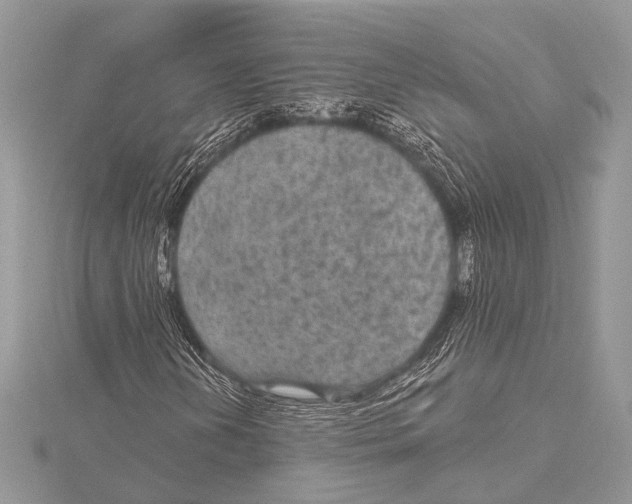 X0000115531202200912040942