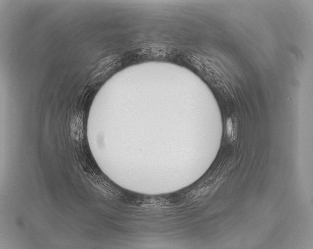 X0000115531203200912040942