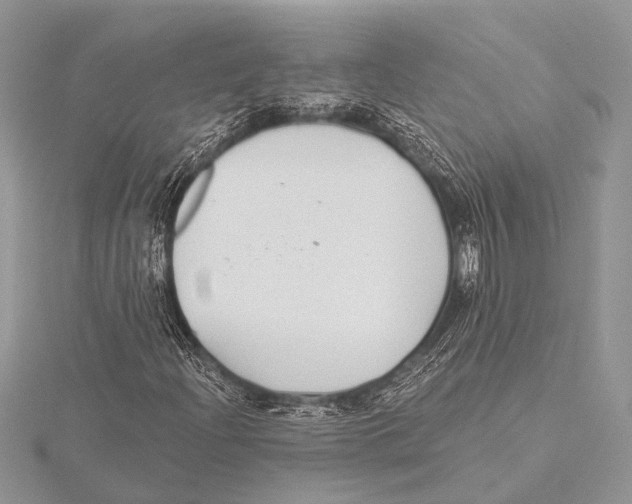 X0000115531204200912040942