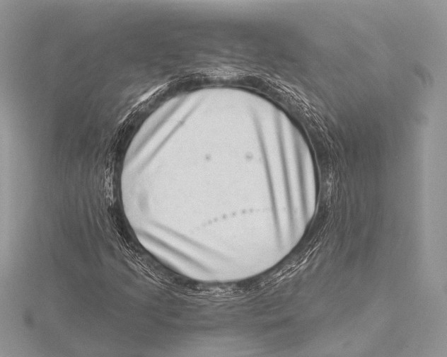 X0000115531205200912040942