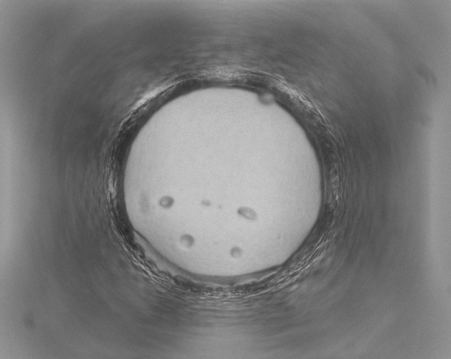 X0000115531206200912040942