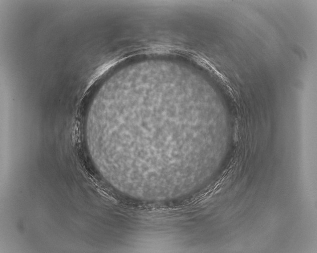 X0000115531208200912040942