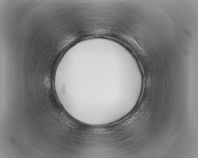 X0000115531209200912040942