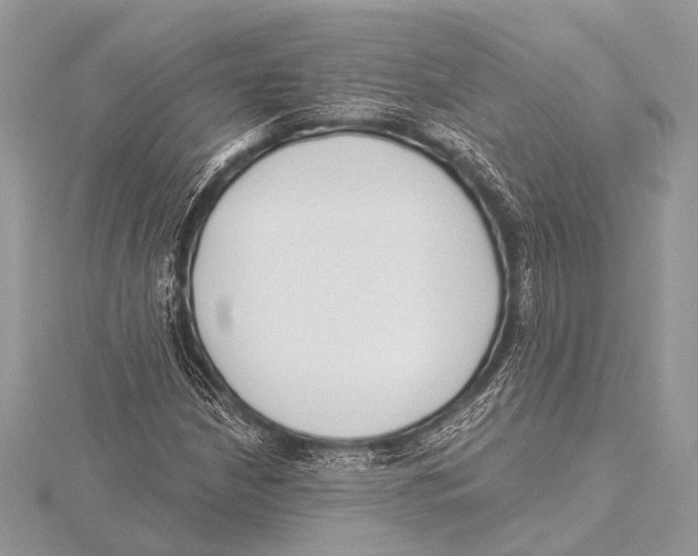 X0000115531210200912040942