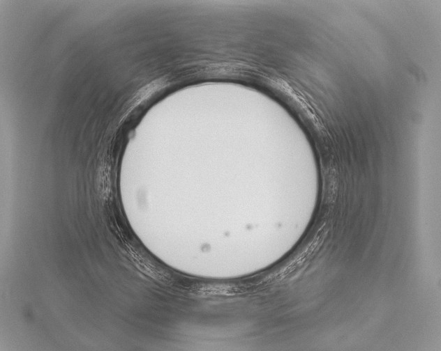 X0000115531211200912040942