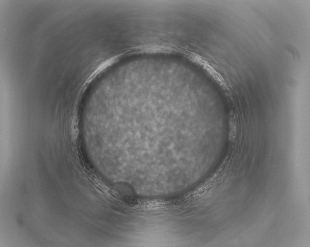 X0000115531213200912040943