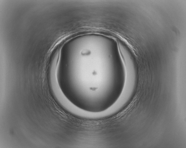 X0000115531215200912040943