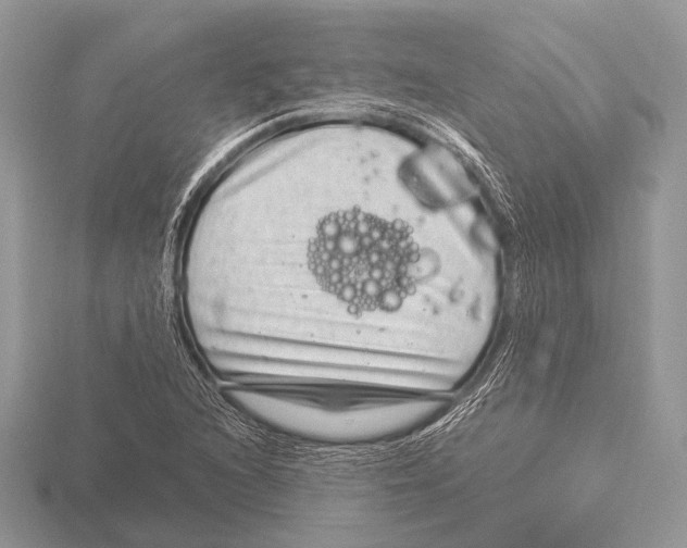 X0000115531216200912040943