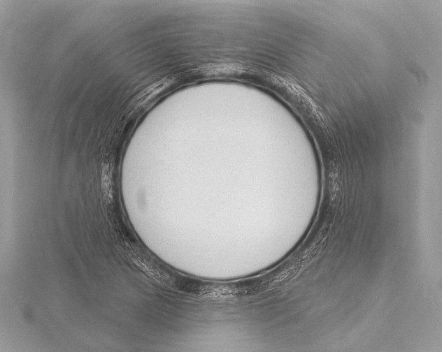 X0000115531217200912040943