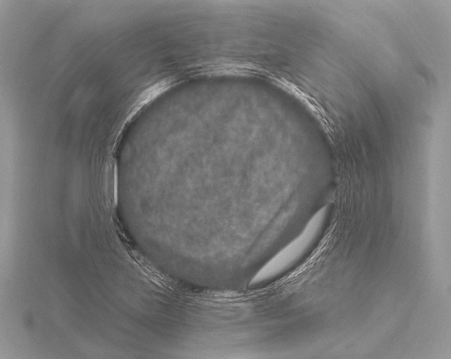 X0000115531219200912040943