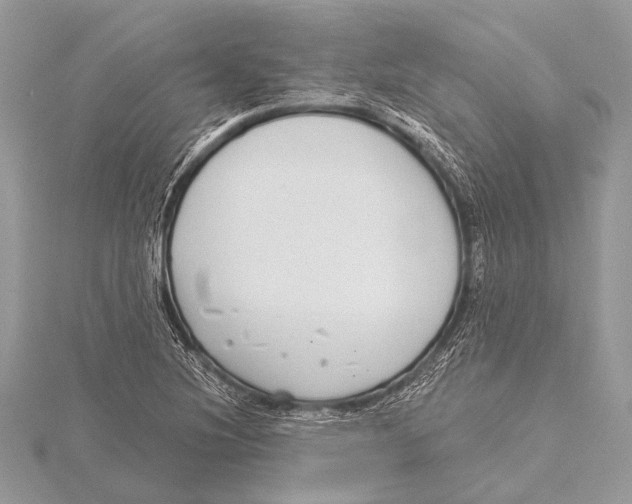 X0000115531220200912040943