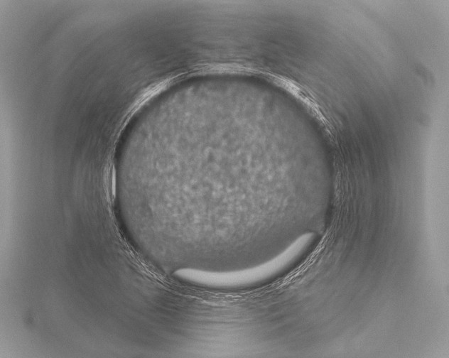 X0000115531221200912040943