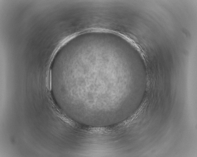 X0000115531223200912040943