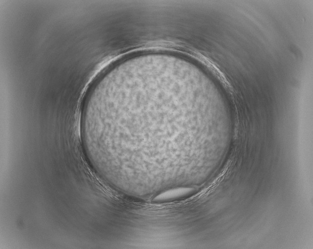 X0000115531224200912040943