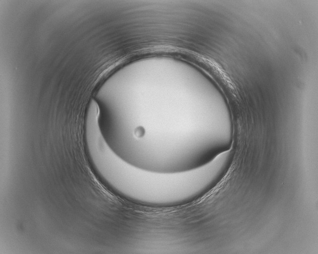 X0000115531225200912040943