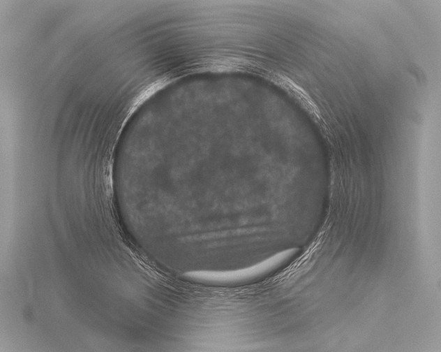 X0000115531226200912040943