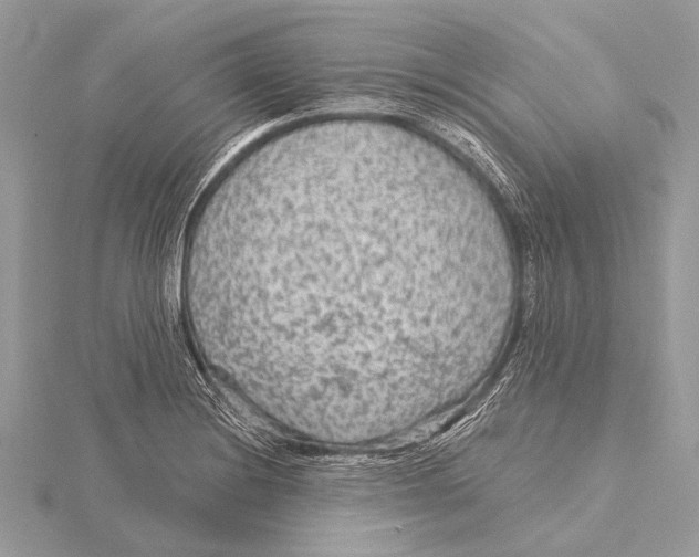 X0000115531228200912040943