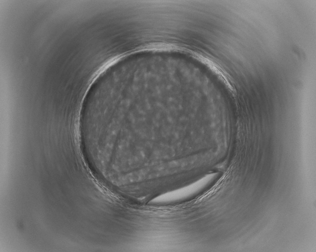 X0000115531229200912040943